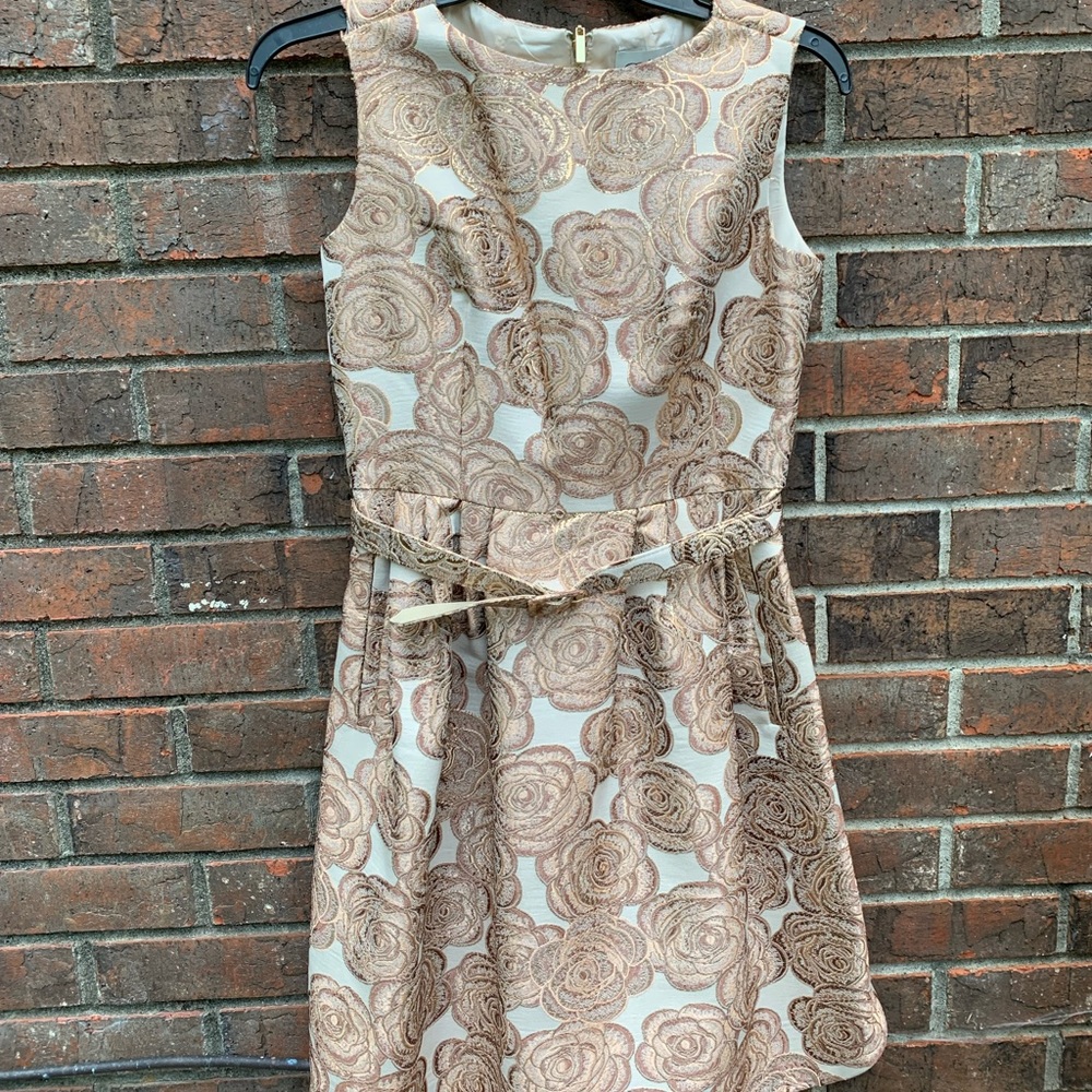 Embroidered rose dress